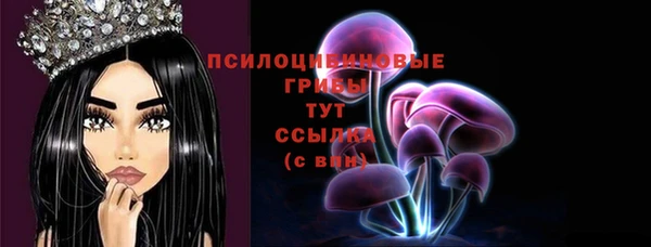 прущий лед Михайловск
