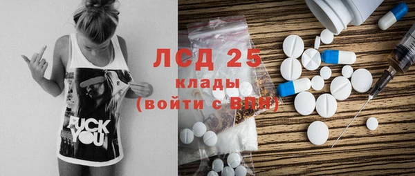 мяу мяу мука Михайлов