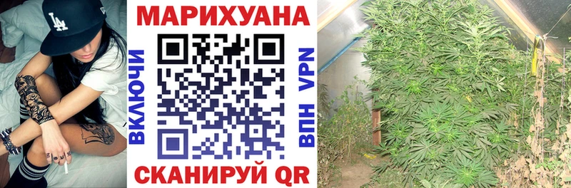 Бошки марихуана Amnesia  Купить  Кореновск 